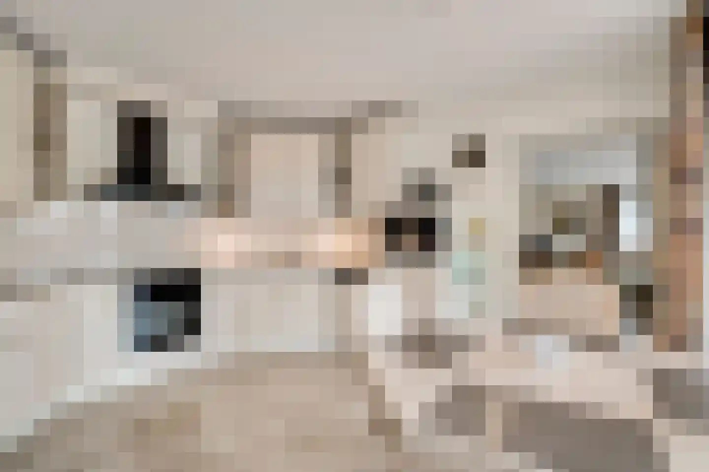 Karthuizerlaan 30 Roermond thumbnail 15