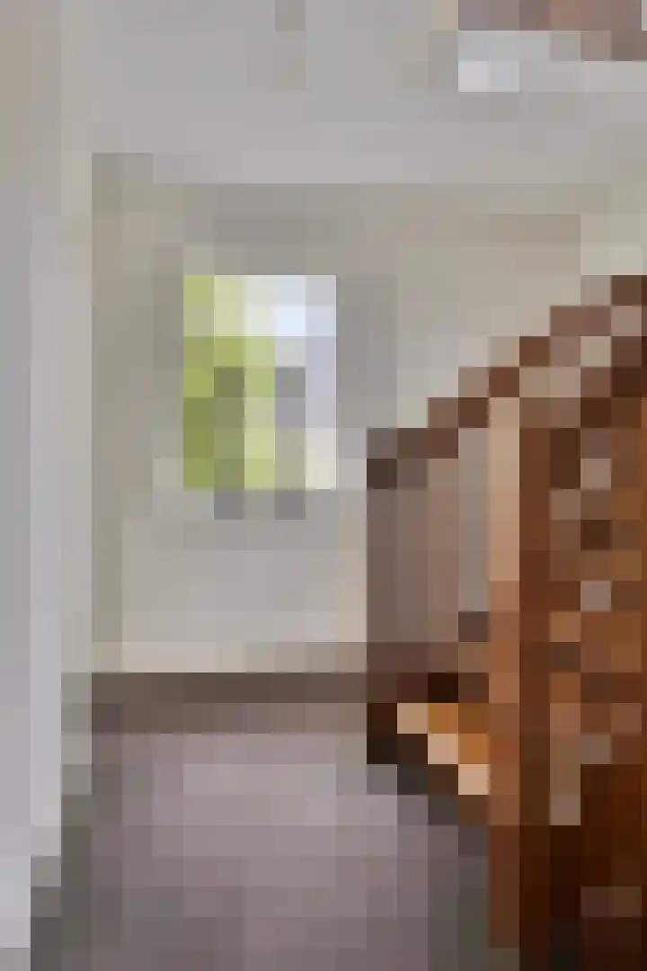 Karthuizerlaan 4 IJsselmuiden thumbnail 35