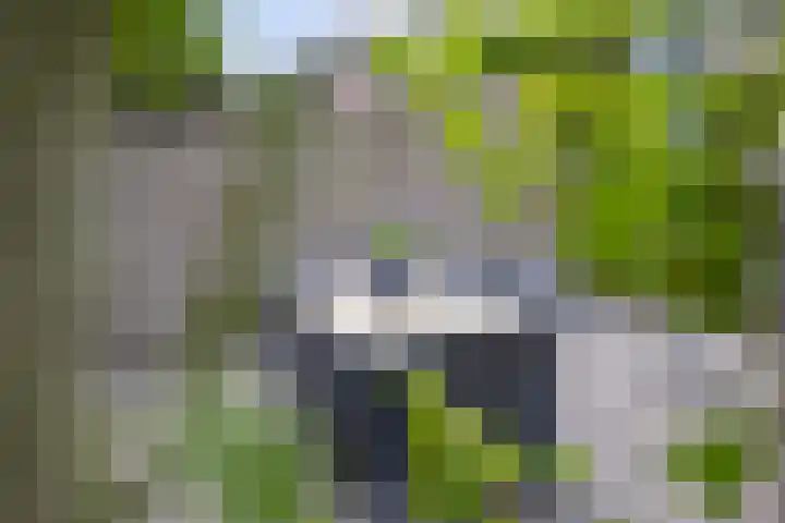 Karthuizerlaan 4 IJsselmuiden thumbnail 43