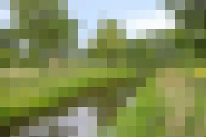 Karthuizerlaan 4 IJsselmuiden thumbnail 47