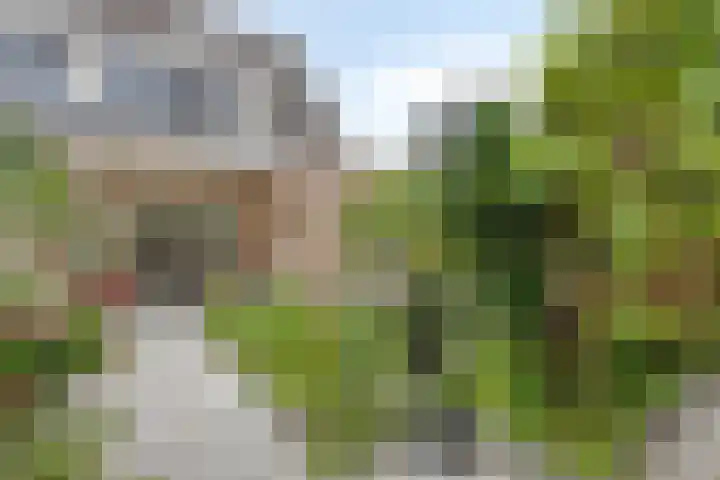 Karthuizerlaan 45 IJsselmuiden thumbnail 4