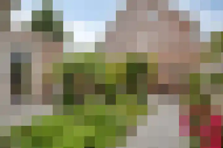 Karthuizerlaan 45 IJsselmuiden thumbnail 41