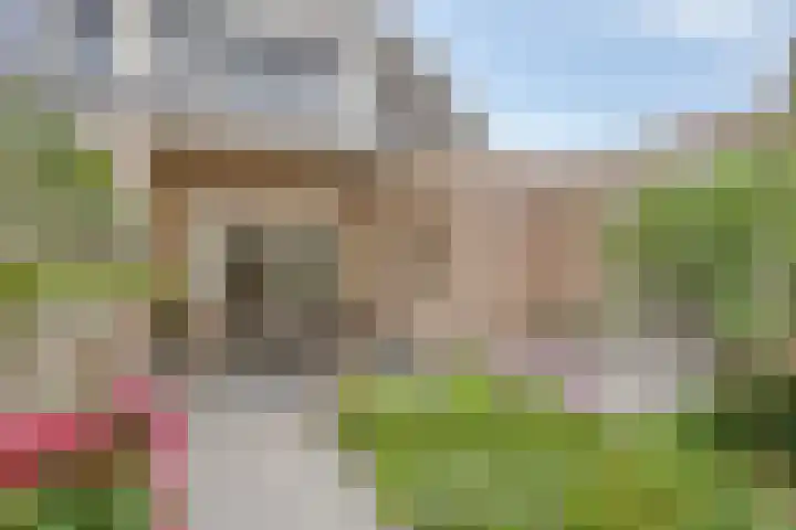Karthuizerlaan 45 IJsselmuiden thumbnail 46