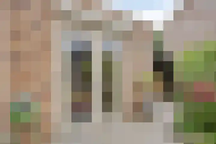 Karthuizerlaan 45 IJsselmuiden thumbnail 47