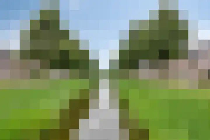 Karthuizerlaan 45 IJsselmuiden thumbnail 58