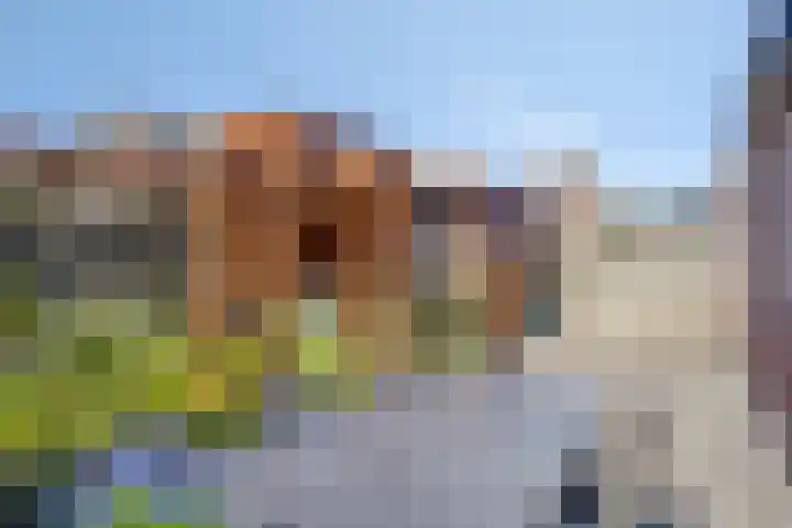 Karthuizerlaan 74 IJsselmuiden thumbnail 33