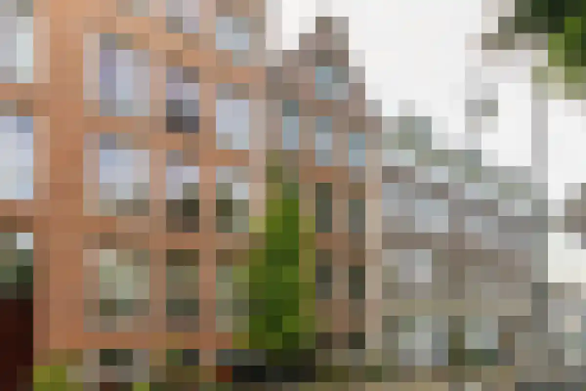 Karthuizersdwarsstraat 18 C in Amsterdam