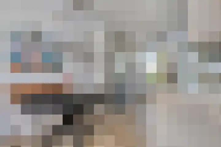 Karthuizerserf 17 Helmond thumbnail 11