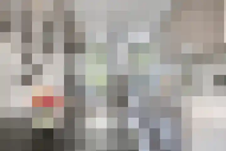 Karthuizerserf 17 Helmond thumbnail 13