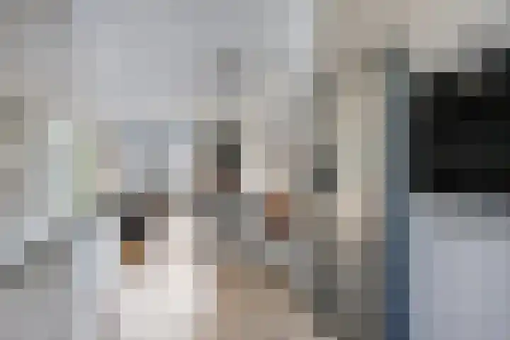 Karthuizerserf 17 Helmond thumbnail 19