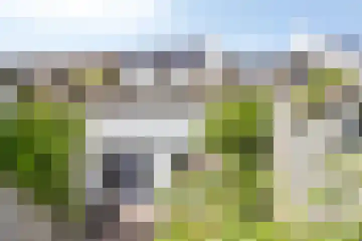 Karthuizerserf 17 Helmond thumbnail 22