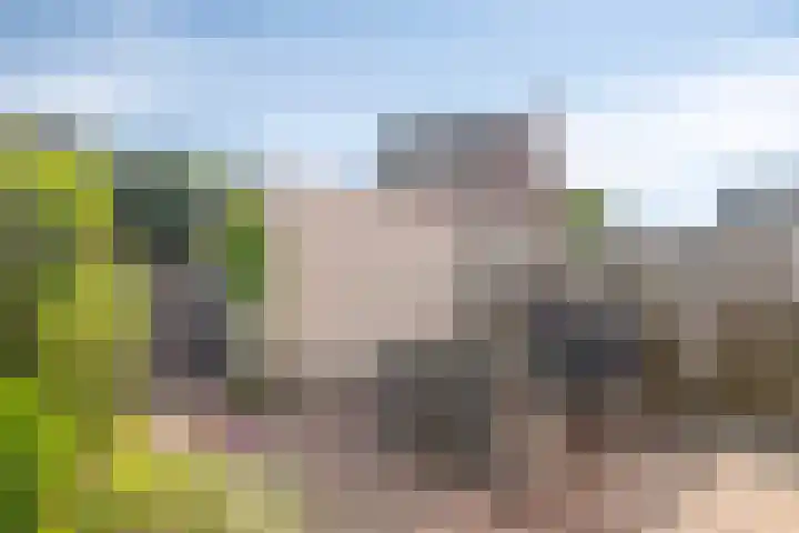 Karthuizerserf 17 Helmond thumbnail 25