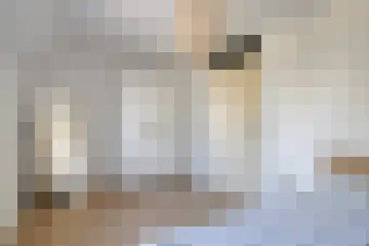 Karthuizerserf 17 Helmond thumbnail 30