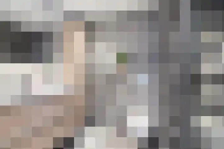 Karthuizerserf 17 Helmond thumbnail 31