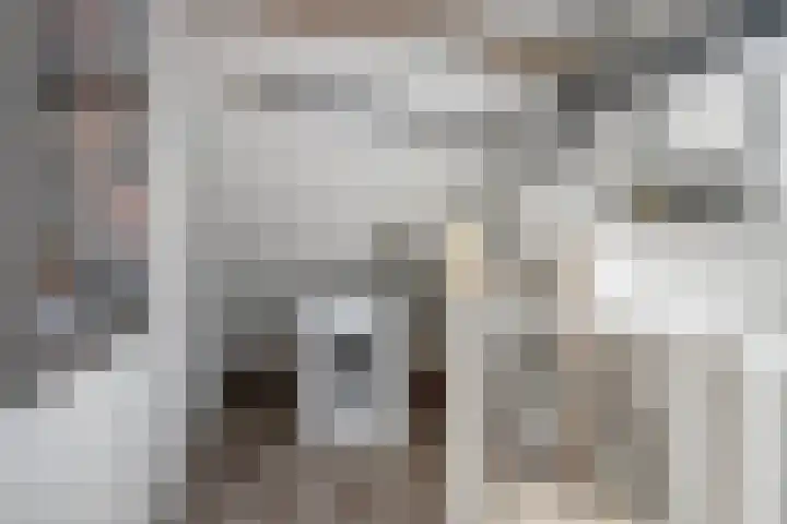Karthuizerserf 17 Helmond thumbnail 37