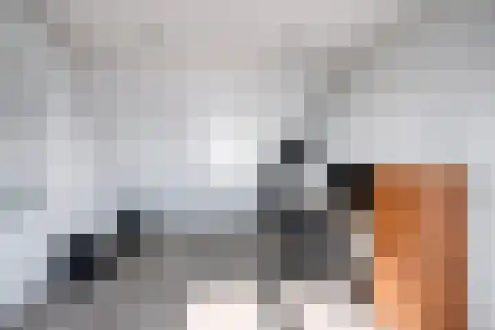 Karthuizerserf 17 Helmond thumbnail 38