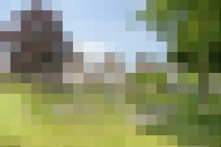 Karthuizerserf 17 Helmond thumbnail 42