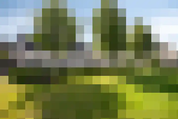 Karthuizerserf 17 Helmond thumbnail 43