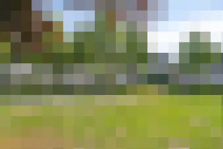 Karthuizerserf 17 Helmond thumbnail 44