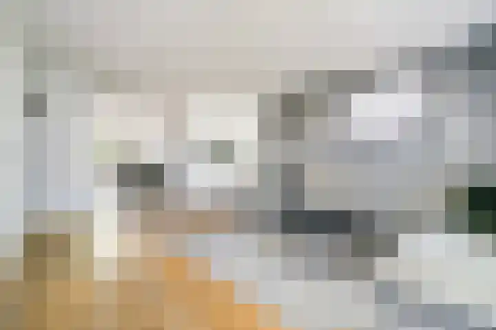 Karthuizerserf 3 Helmond thumbnail 11