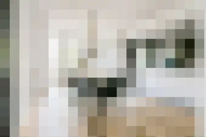 Karthuizerserf 3 Helmond thumbnail 12