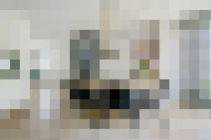 Karthuizerserf 3 Helmond thumbnail 13
