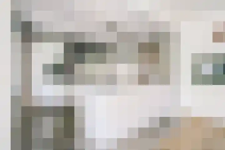 Karthuizerserf 3 Helmond thumbnail 14