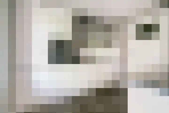 Karthuizerserf 3 Helmond thumbnail 15
