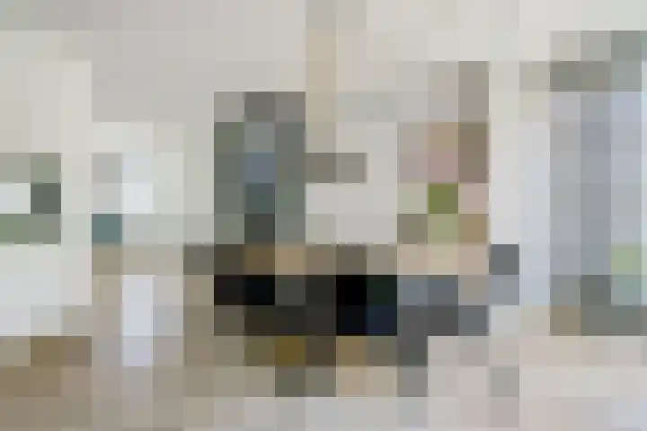 Karthuizerserf 3 Helmond foto 3