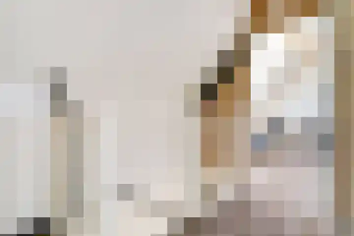 Karthuizerserf 3 Helmond thumbnail 31
