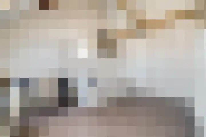 Karthuizerserf 3 Helmond thumbnail 32