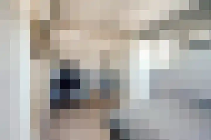 Karthuizerserf 3 Helmond thumbnail 33