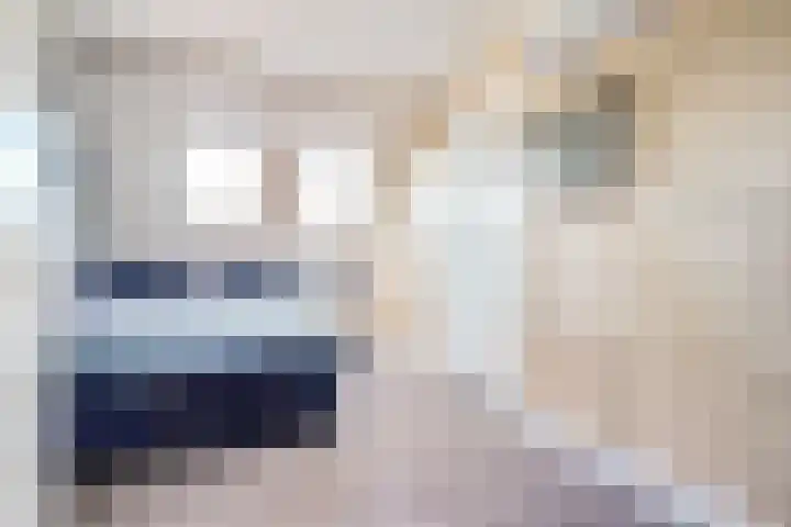 Karthuizerserf 3 Helmond thumbnail 34