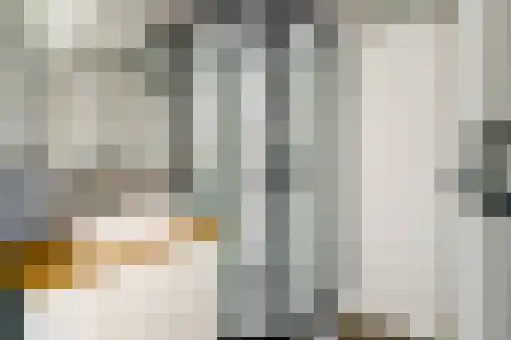 Karthuizerserf 3 Helmond thumbnail 36
