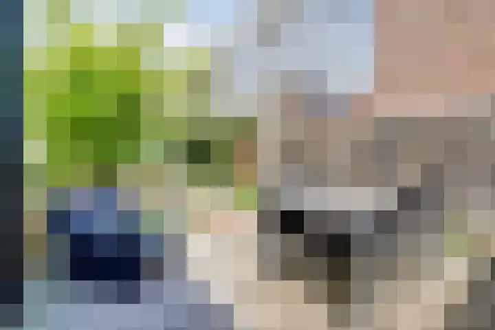 Karthuizerserf 3 Helmond thumbnail 39