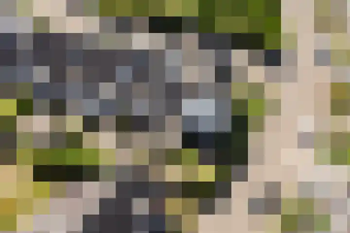 Karthuizerserf 3 Helmond thumbnail 47