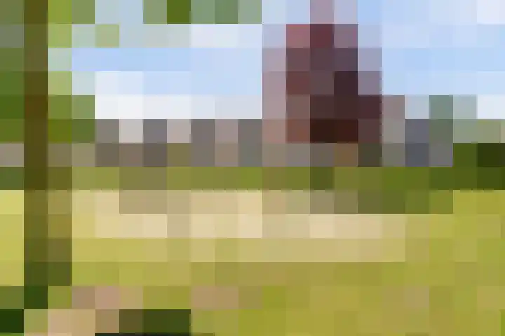 Karthuizerserf 3 Helmond thumbnail 6