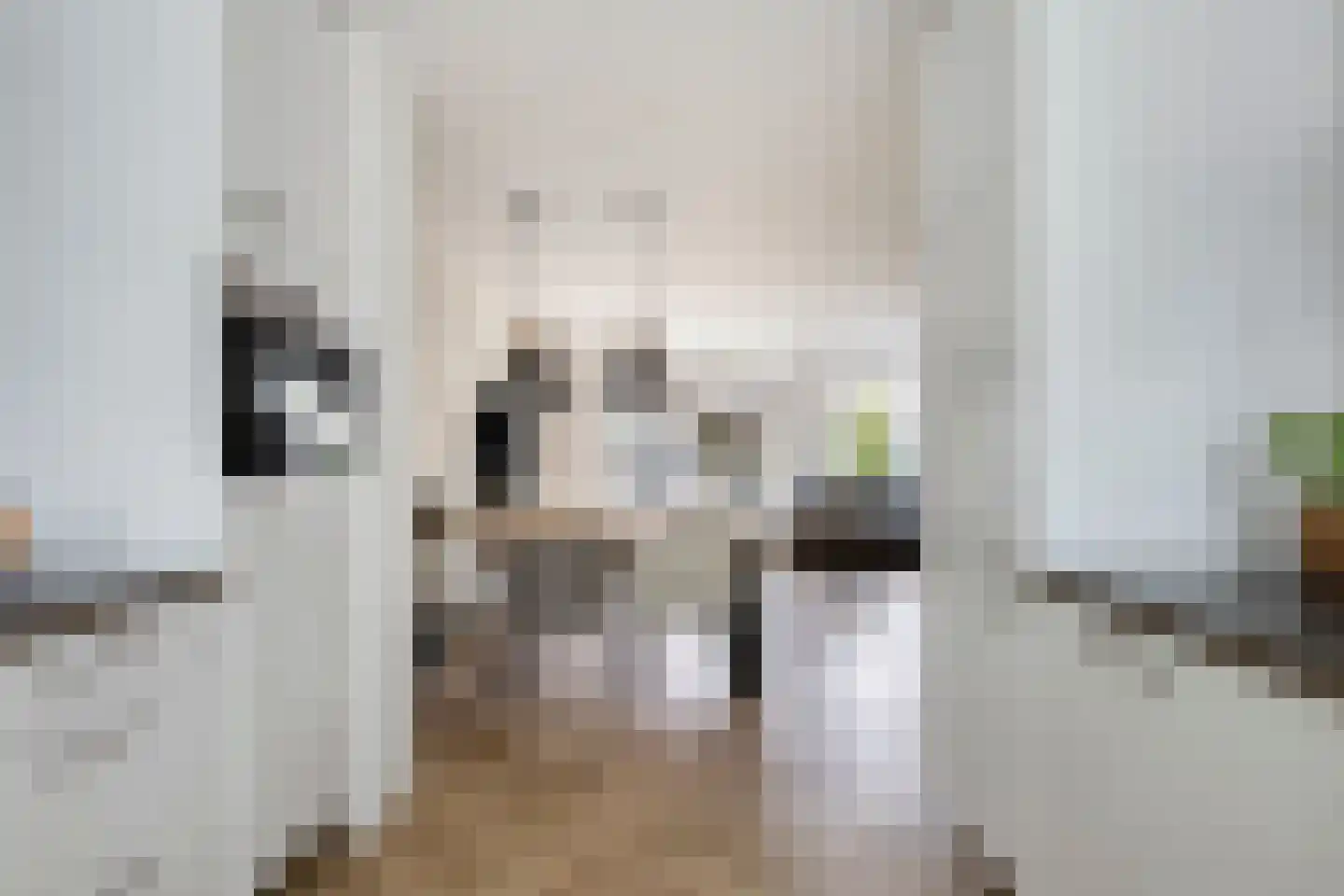 Karthuizerserf 5 Helmond thumbnail 13