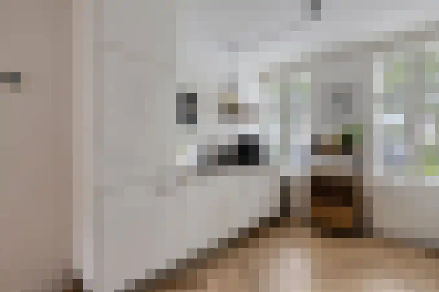 Karthuizerserf 5 Helmond thumbnail 14