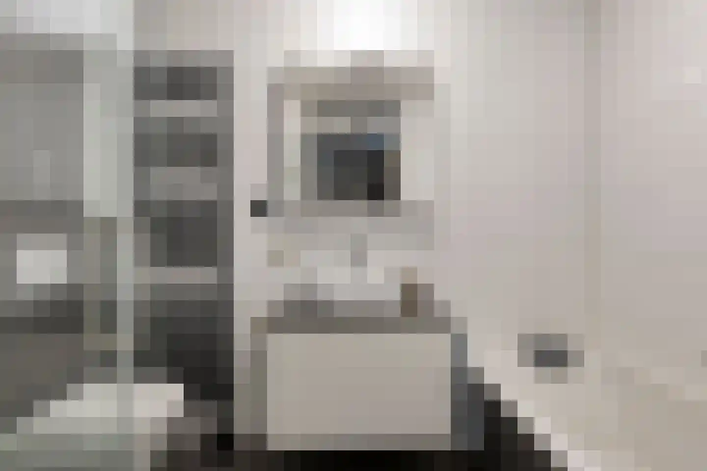 Karthuizerserf 5 Helmond thumbnail 4