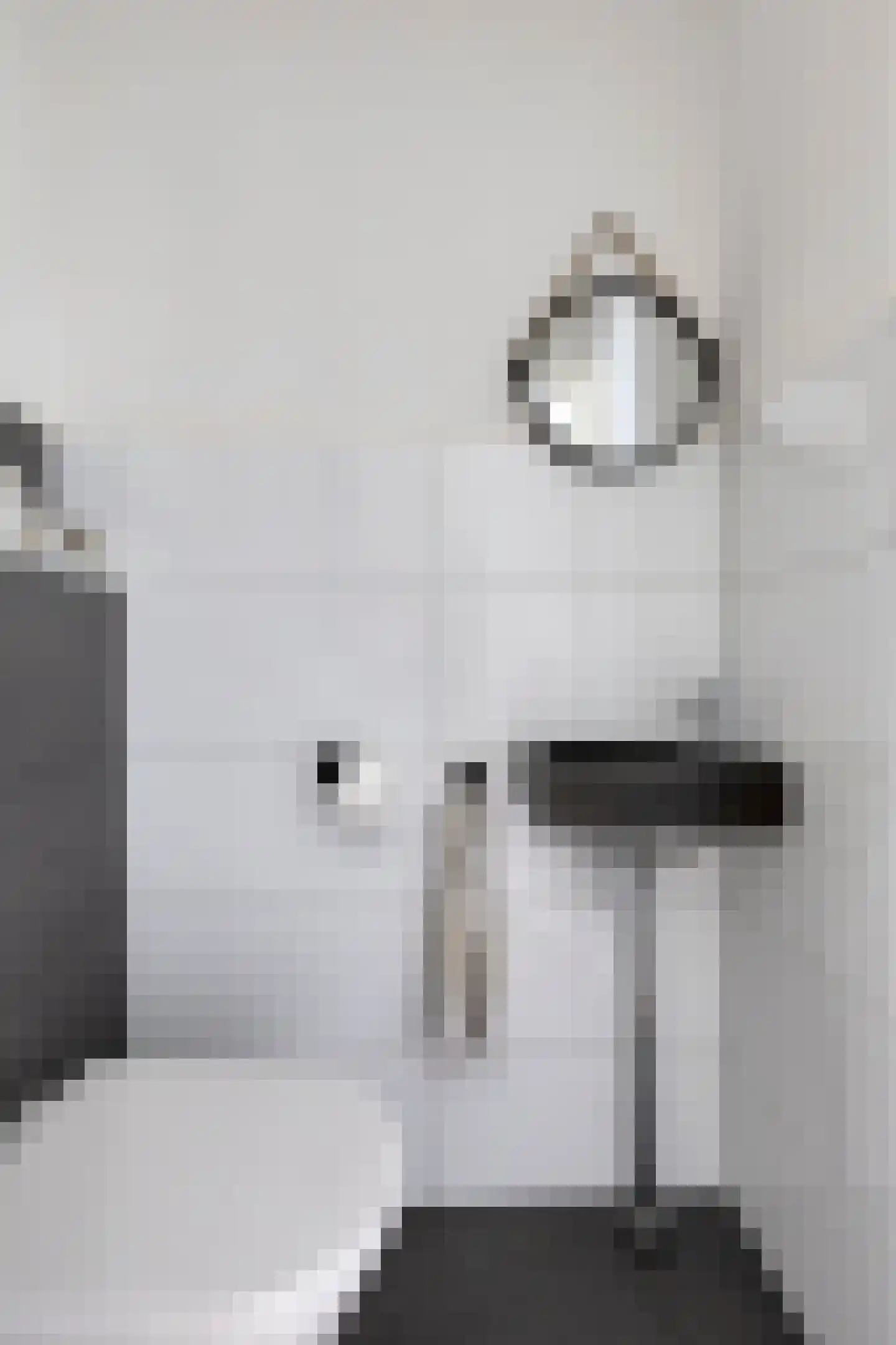 Karthuizerserf 5 Helmond thumbnail 8