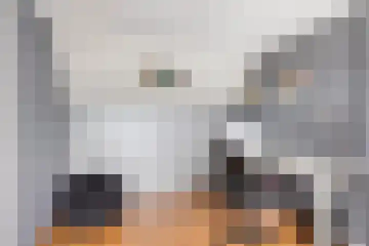 Karthuizerserf 7 Helmond thumbnail 19