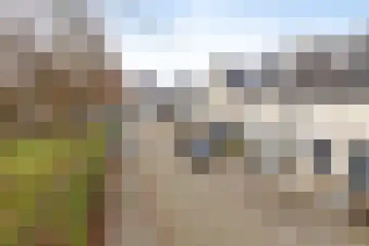 Karthuizerserf 7 Helmond thumbnail 26