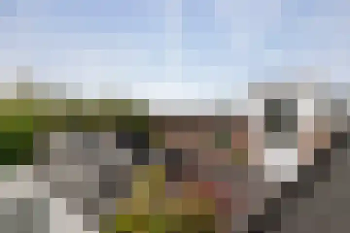 Karthuizersplantsoen 24 Amsterdam thumbnail 18