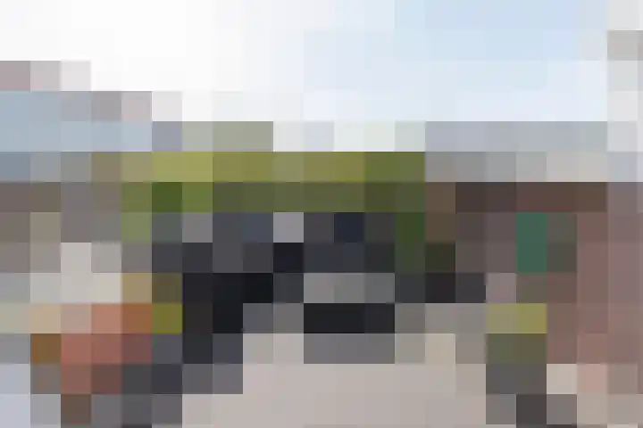 Karthuizersplantsoen 24 Amsterdam thumbnail 19