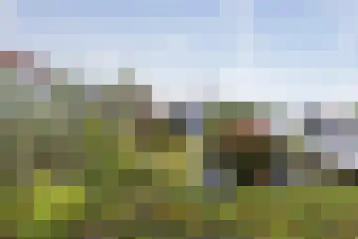 Karthuizersplantsoen 24 Amsterdam thumbnail 20
