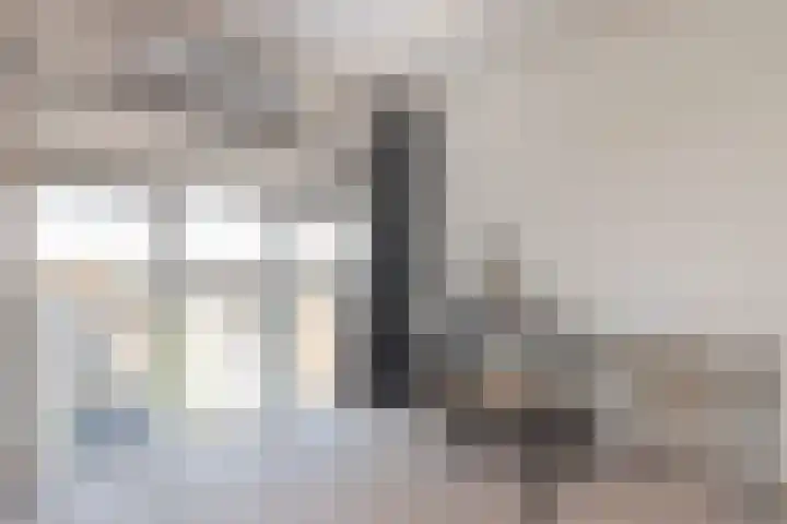 Karthuizersplantsoen 24 Amsterdam thumbnail 22