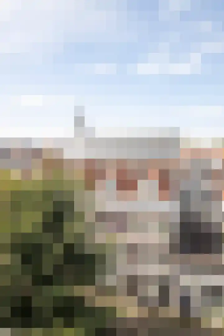 Karthuizersplantsoen 24 Amsterdam thumbnail 24