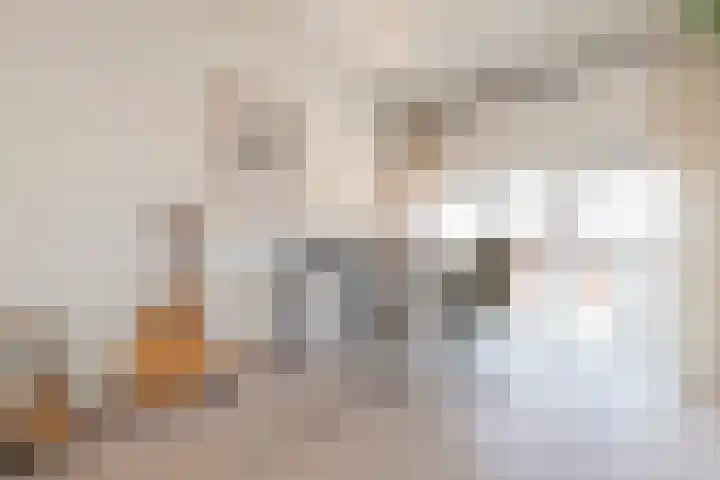 Karthuizersplantsoen 24 Amsterdam thumbnail 25