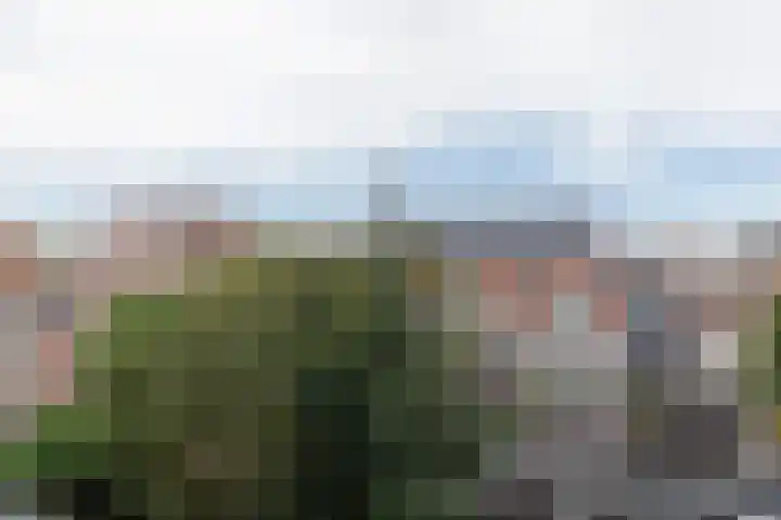 Karthuizersplantsoen 24 Amsterdam thumbnail 34